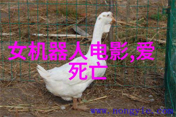 配送机器人是什么配送机器人通常具备哪些特点